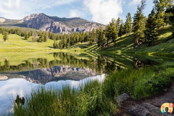 Yellowstone National Park in the USA