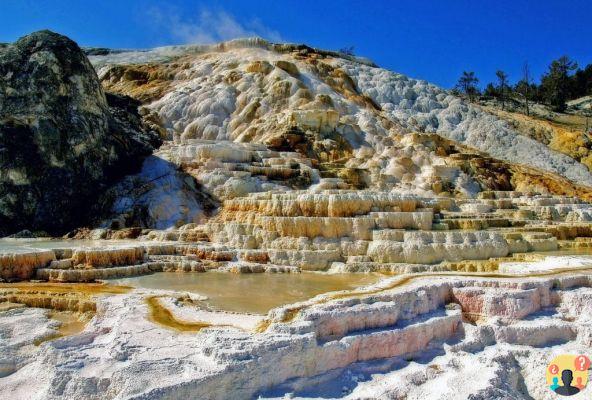 Yellowstone National Park in the USA