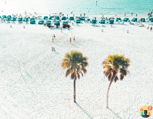 Clearwater – Guía completa de la ciudad