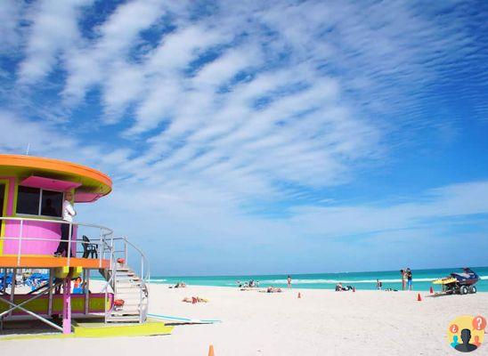 Hoteles en Miami Beach: los 11 mejores y mejor calificados hoteles