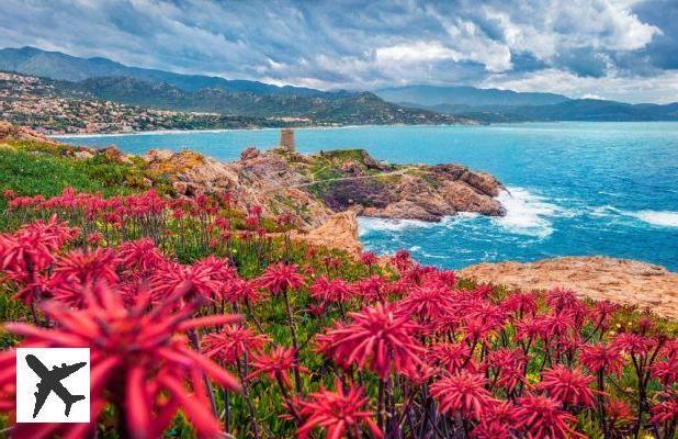 Location de bateau à L’Île Rousse : comment faire et où ?