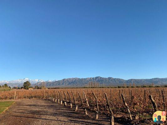 Itinerary in Mendoza – Tips for 2 to 5 days in the city