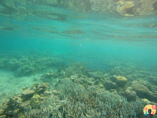 What to do in the Philippines