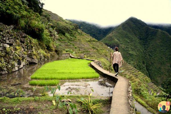 Qué hacer en Filipinas