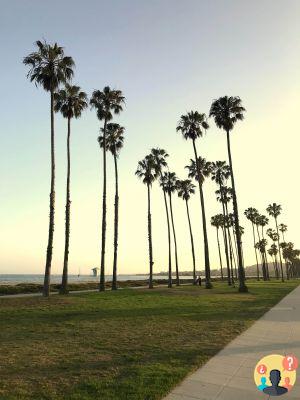 Hotel Santa Barbara Inn in California