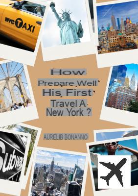 Comment bien préparer son voyage à New York ?