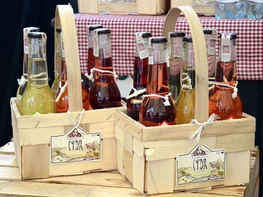 Best restaurants in Frankfurt to eat typical dishes