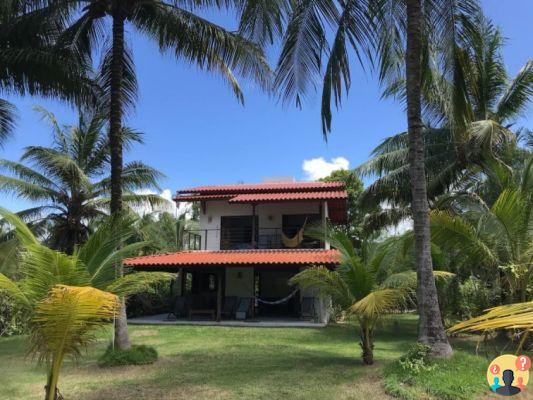 Toque Beach à Alagoas – Guide de voyage