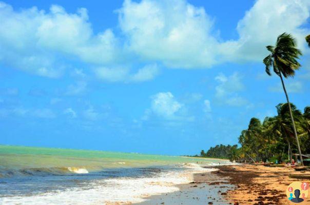 Toque Beach à Alagoas – Guide de voyage