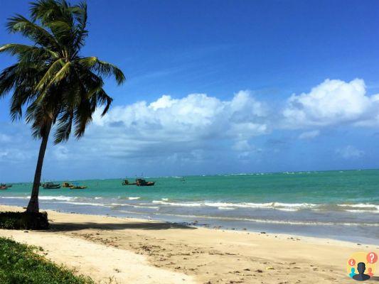 Toque Beach à Alagoas – Guide de voyage