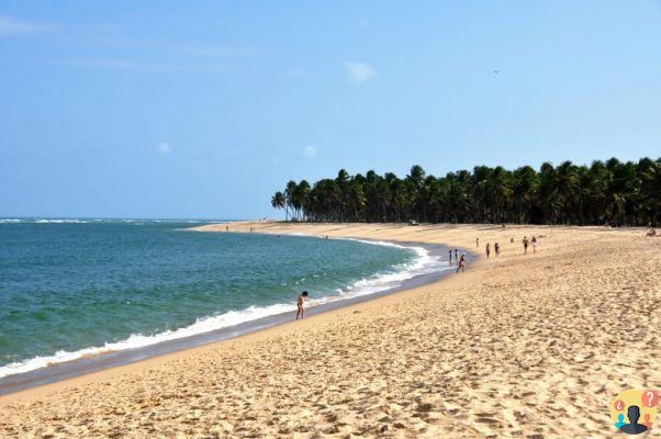 Praia do Gunga – Guía de viaje