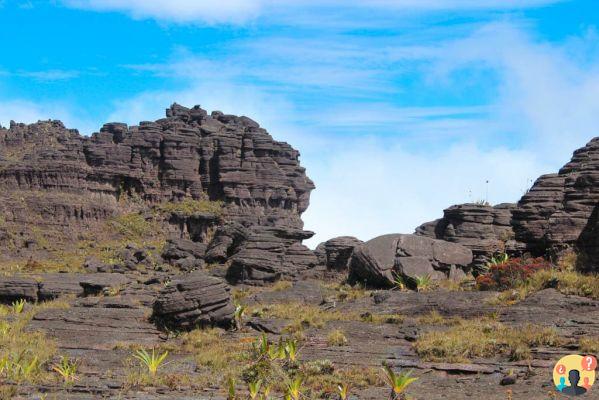 Monte Roraima – Tout ce que vous devez savoir avant de visiter