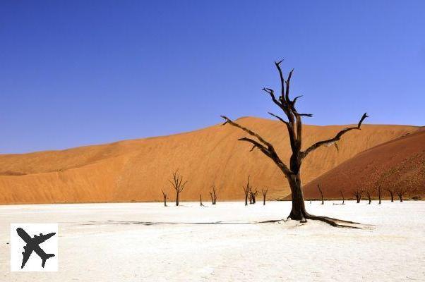 Qué ver y hacer en Namibia