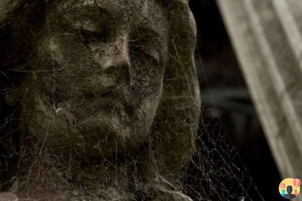 Comment se passe la visite du cimetière de Recoleta à Buenos Aires