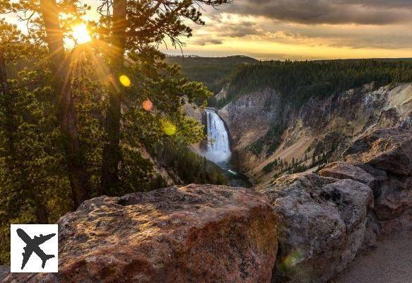 Visiter le parc national de Yellowstone : réservations et tarifs