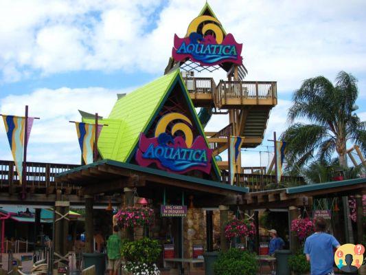 Aquatica Orlando – Attractions and park tips for the whole family