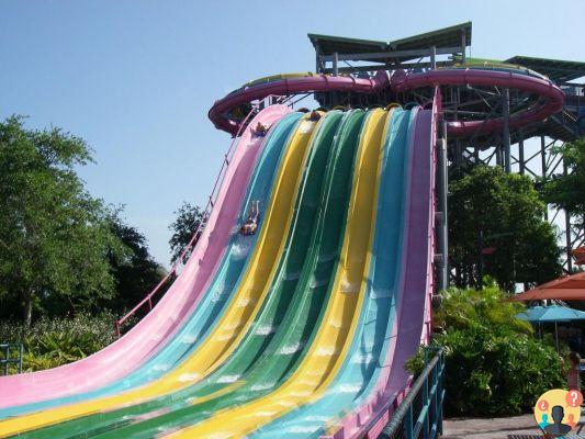 Aquatica Orlando: atracciones y consejos sobre parques para toda la familia