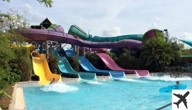 Aquatica Orlando – Attractions and park tips for the whole family