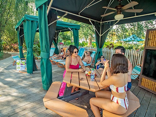 Aquatica Orlando – Attractions and park tips for the whole family