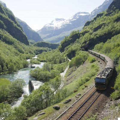 Norwegian train