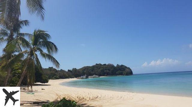 Qué ver y hacer en Isla Contadora