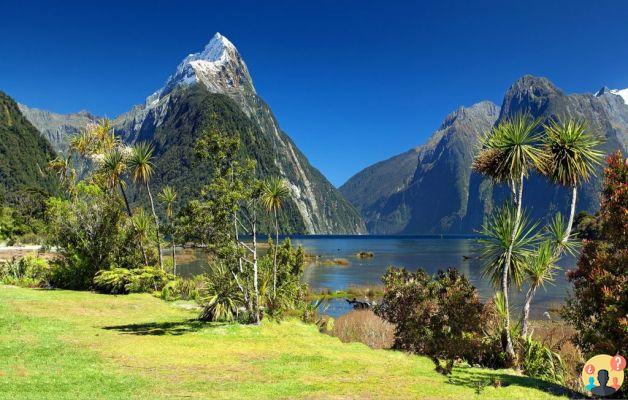 Nouvelle-Zélande – Guide complet du pays