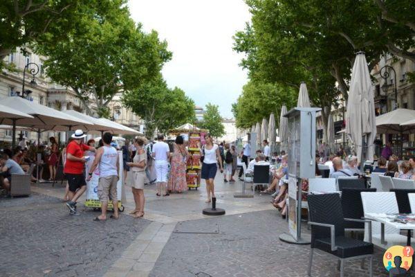 Cosas que hacer en Avignon – 9 lugares para visitar en la ciudad