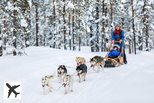 4 endroits où faire du chien de traîneau dans les Alpes