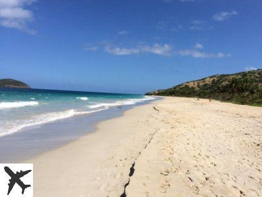 Qué ver y hacer en Isla Culebra