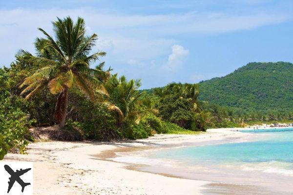 Qué ver y hacer en Isla Culebra