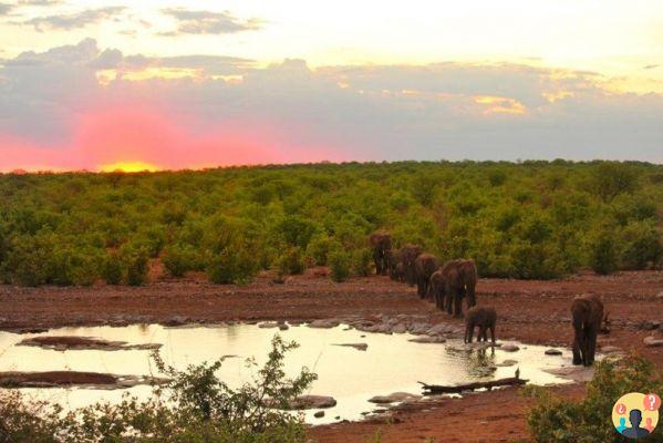 Namibie – Ce qu'il faut savoir avant de partir