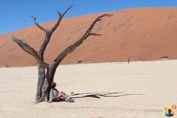 Namibie – Ce qu'il faut savoir avant de partir