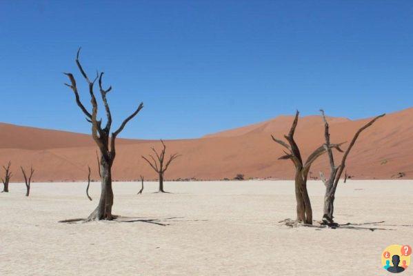 Namibia: lo que debe saber antes de viajar