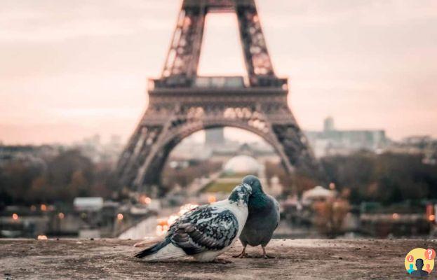 Paris – Guide complet de la ville