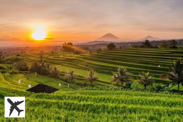 Visiter les rizières de Bali : billets, tarifs, horaires