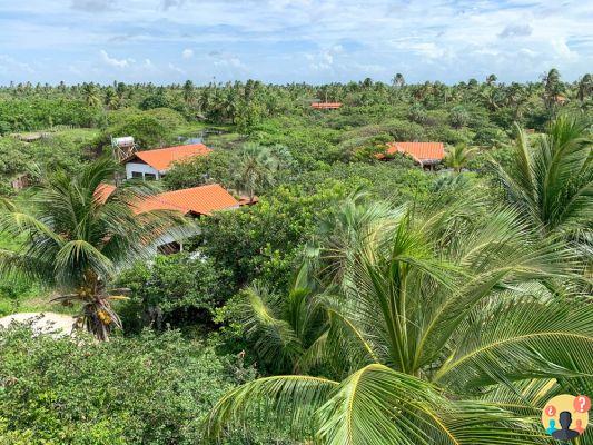 La Ferme de Georges: Todo sobre la Pousada en Atins – MA