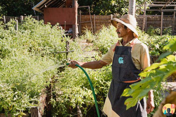 La Ferme de Georges: All About the Pousada in Atins – MA