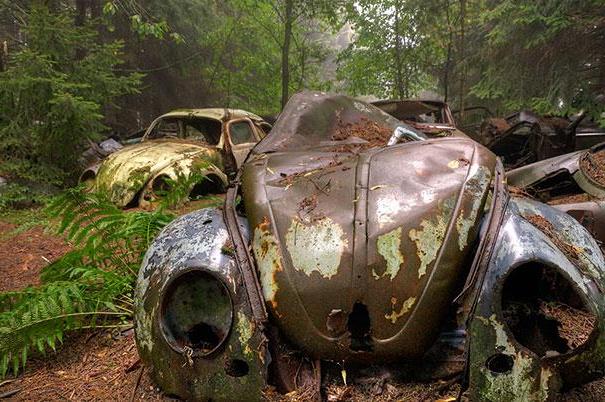 The mysterious car cemetery in Châtillon, Belgium