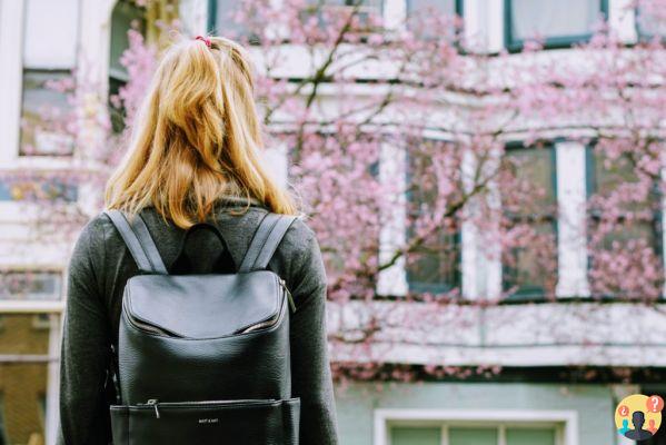 Seguro de viaje para estudiantes – Cómo elegir el ideal para tu viaje