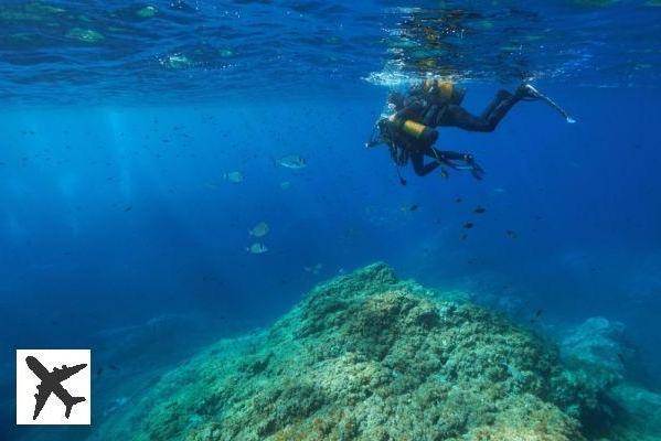 Les 11 meilleurs spots où faire de la plongée ‎à Marseille et ses alentours