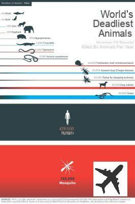 Quel est l’animal le plus dangereux pour l’homme ?