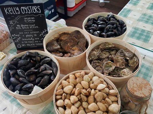 Clarenbridge Oyster Festival