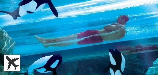10 toboggans aquatiques les plus incroyables du monde