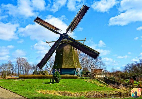¿Es necesario un seguro de viaje a los Países Bajos? Aprende todo aquí