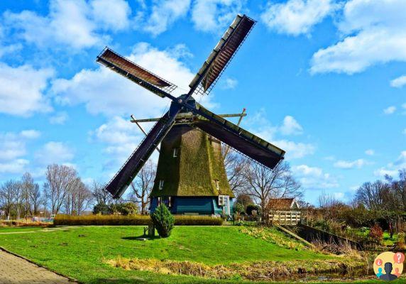 Is Netherlands Travel Insurance Necessary? Learn Everything Here