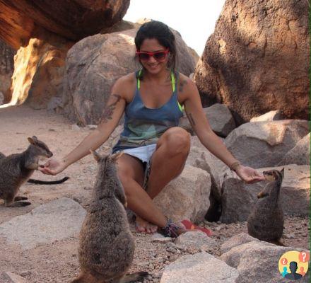 Magnetic Island in Australia – Guida di viaggio