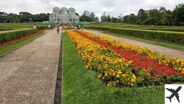 Alquiler de coches en Curitiba – ¿Cómo conseguir buenos precios?