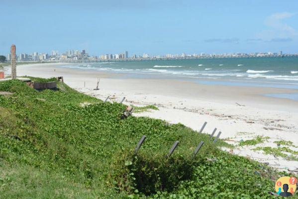 Barra de São Miguel – Scopri tutto sul paradiso ad Alagoas