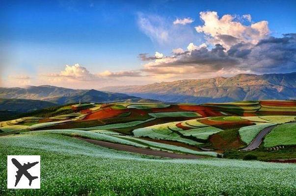 Les terrasses en terres rouges de Dongchuan