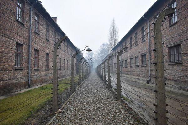 Visit auschwitz birkenau poland